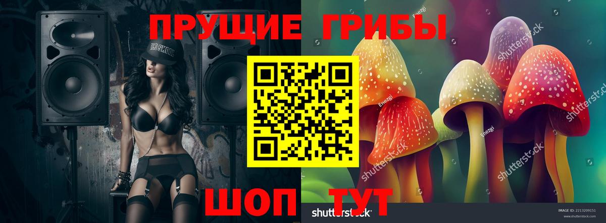 Псилоцибиновые грибы Cubensis Ейск