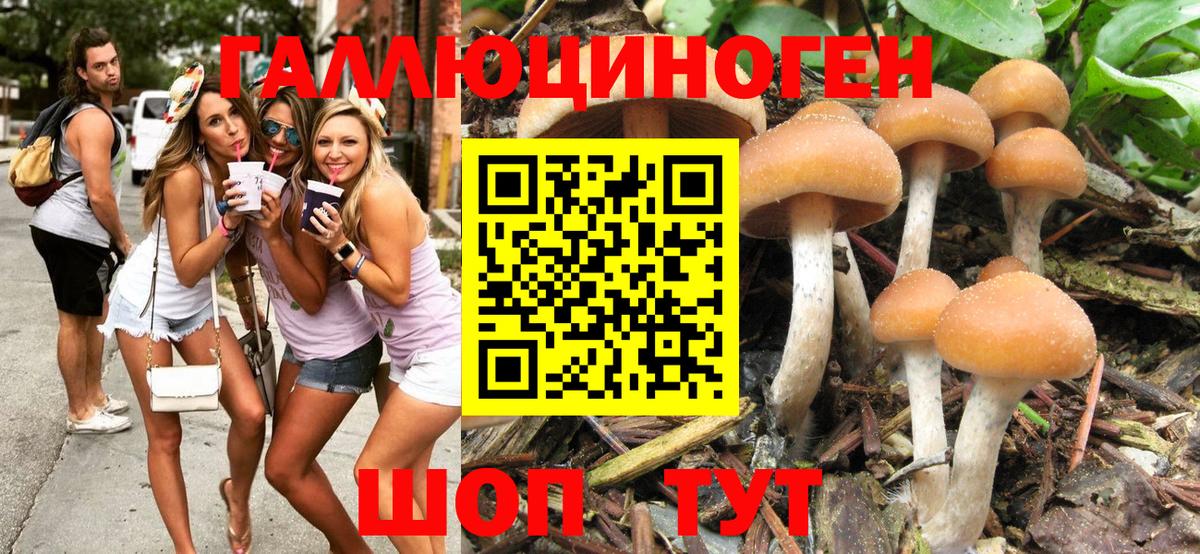Псилоцибиновые грибы Magic Shrooms  Вход с VPN  Ейск 